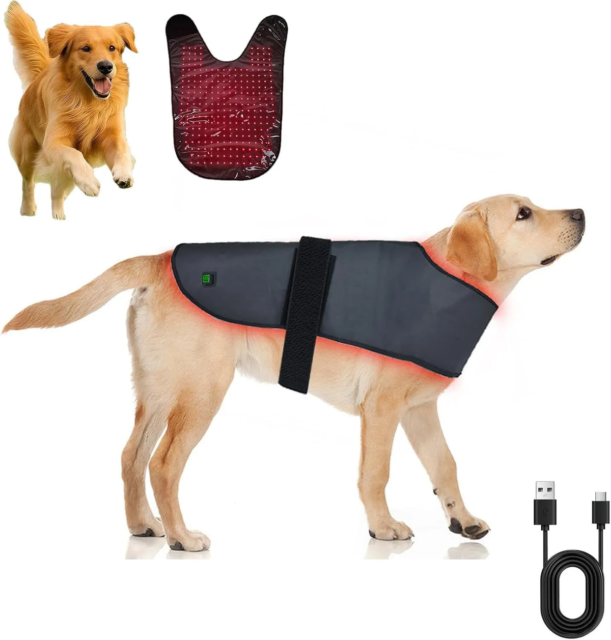 Supporto, 660 NM, 850 NM, USB, rosso, per Cani