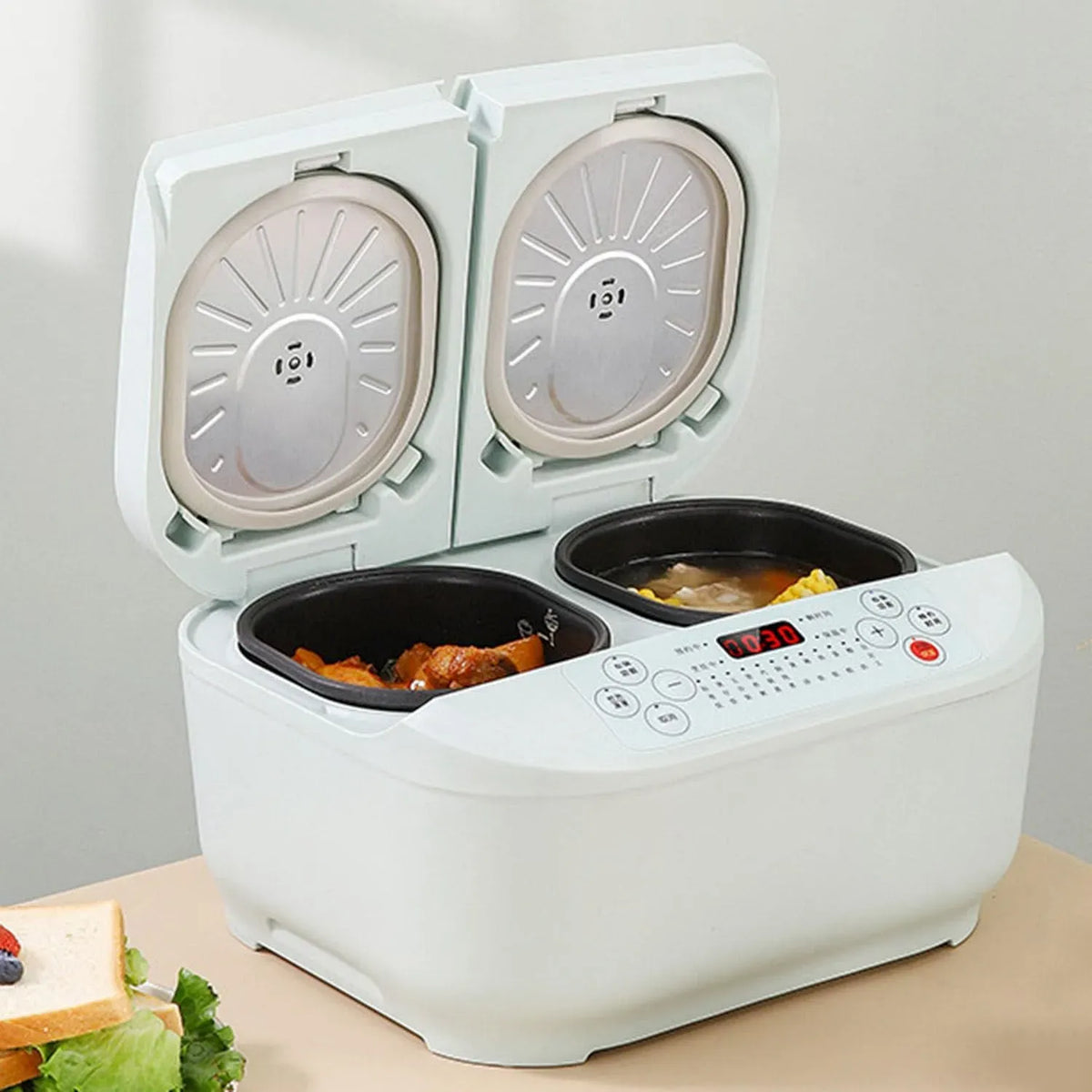 12H Cuociriso, cuociriso elettrico, 1,5 L, ampio serbatoio, professionale, 2 zone di temperatura