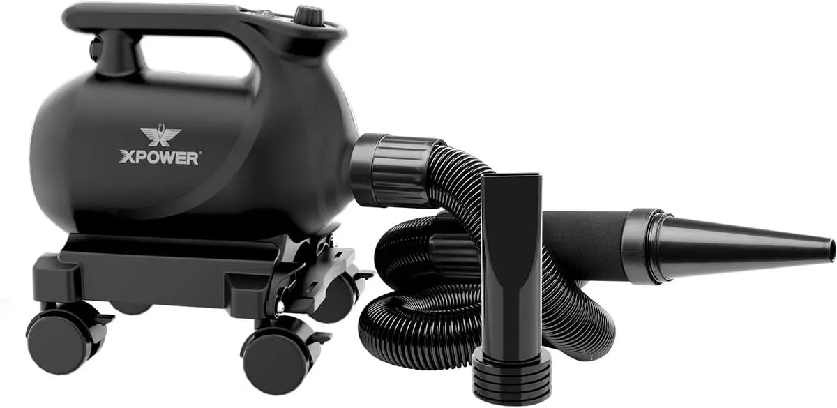 Blower professionale per auto dotato di dock mobile Car Dryer