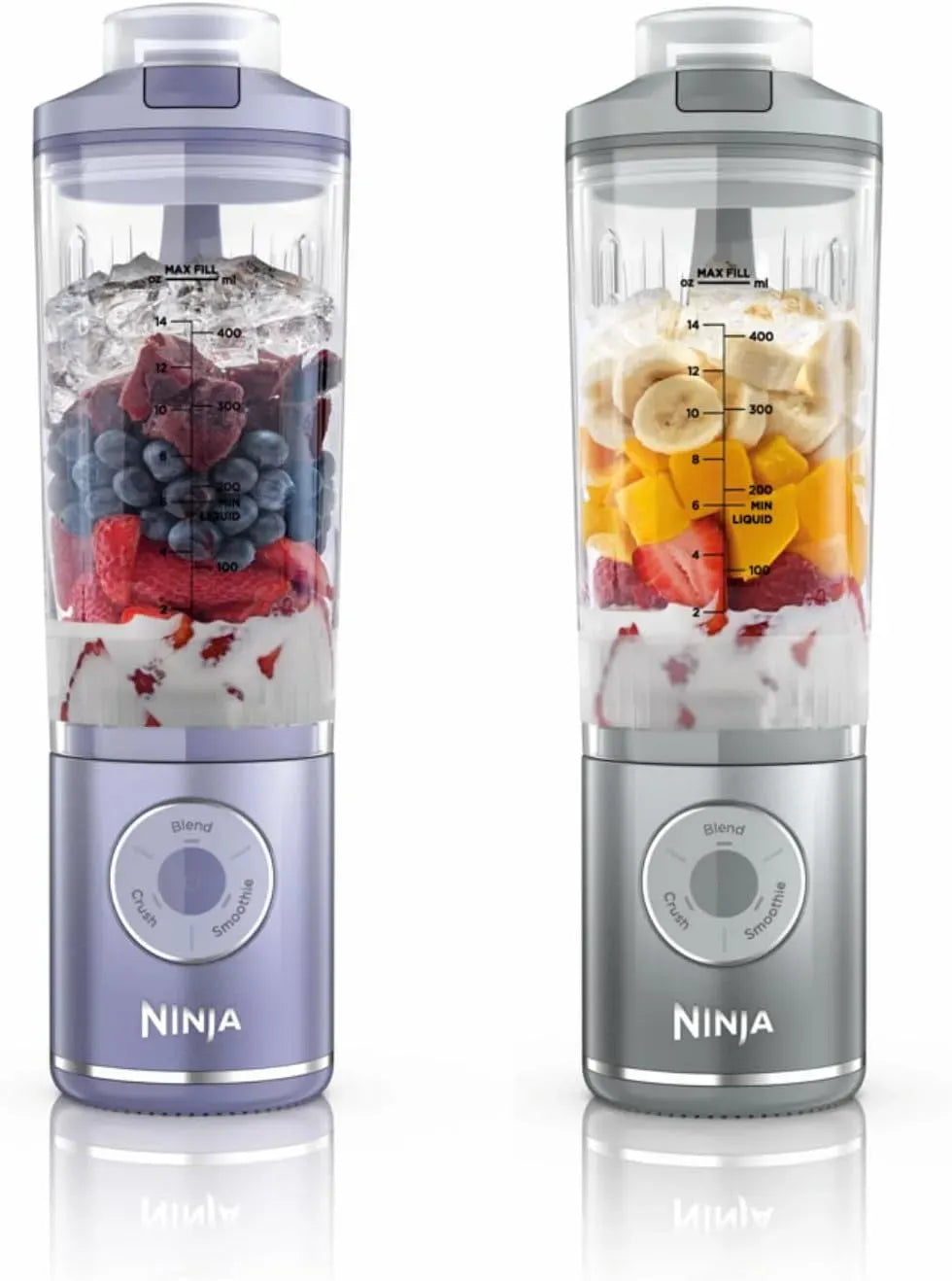Ninja BC251EULS Frullatore, portatile, argento, 570 ml