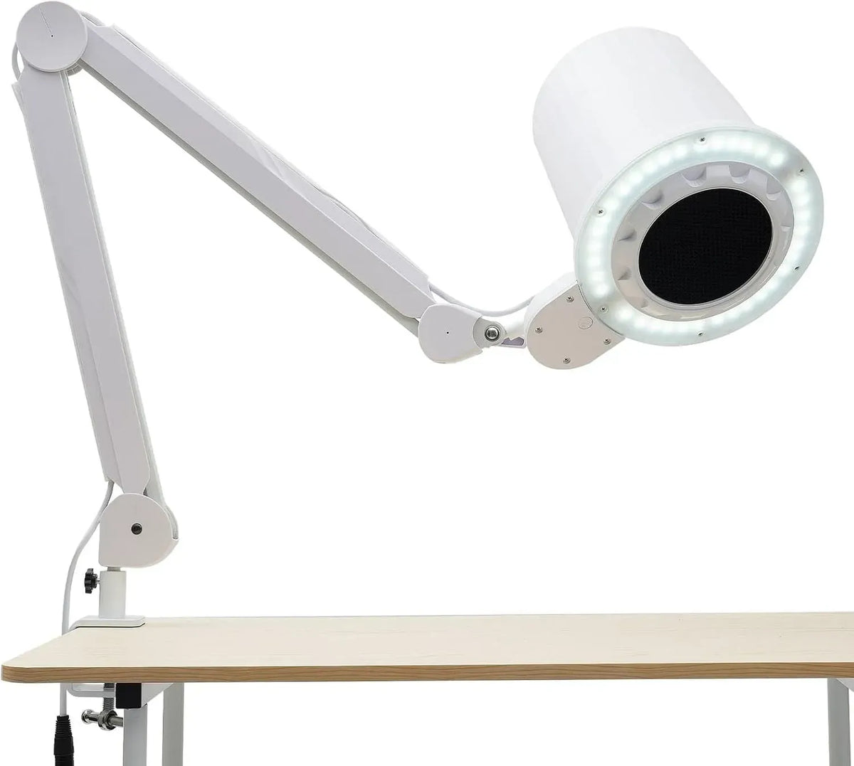 Aspirapolvere, decorazione del soggiorno, professionale, 10 velocità di vento regolabili, braccio articolato in 3 sezioni